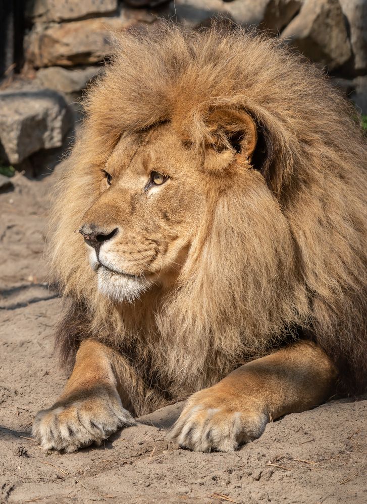 Фотография автора Andrey Pristyazhnyuk