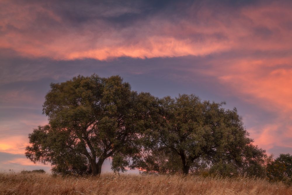 Photograph by Denis Churin