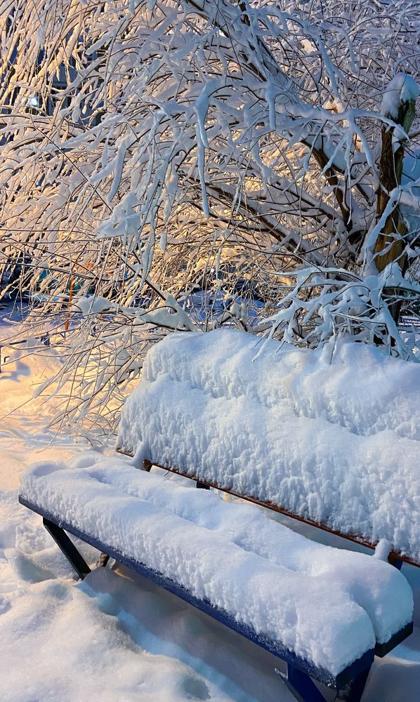 Photograph by Мария Сазонова