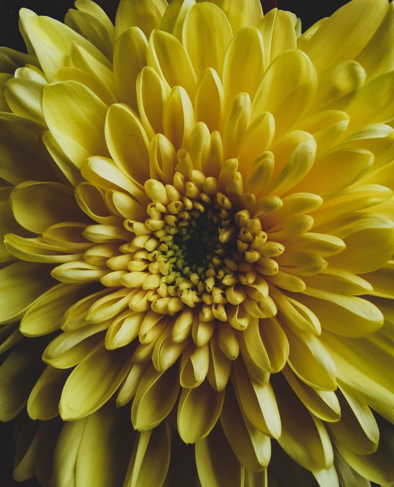 Photograph by Vedran Grebljanovic