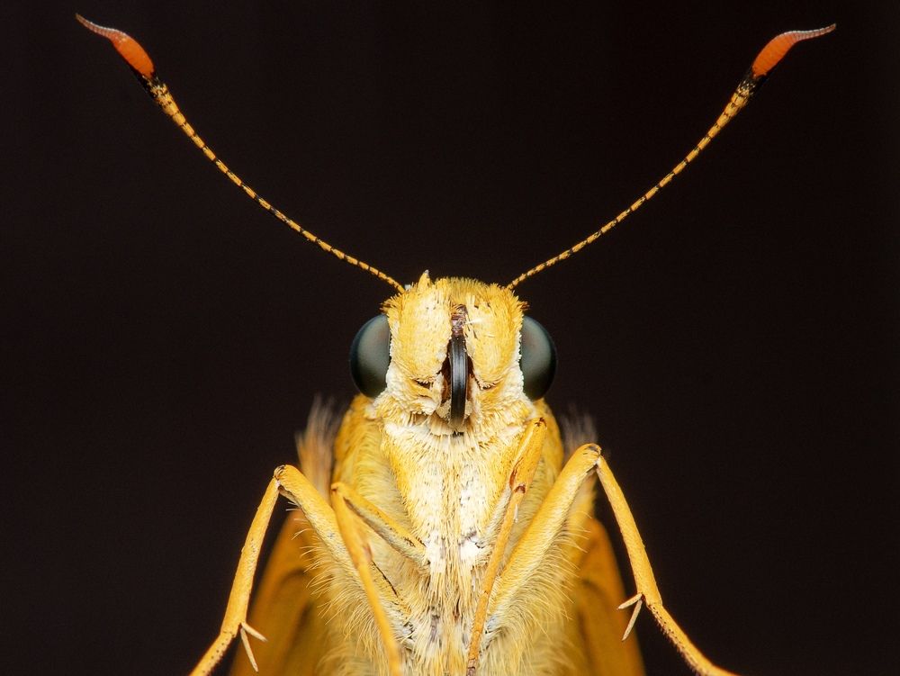 Photograph by Han Fuh Yow