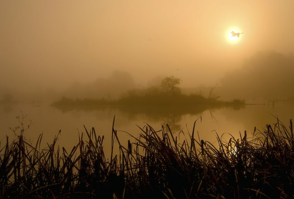 Photograph by Milan Uhrin