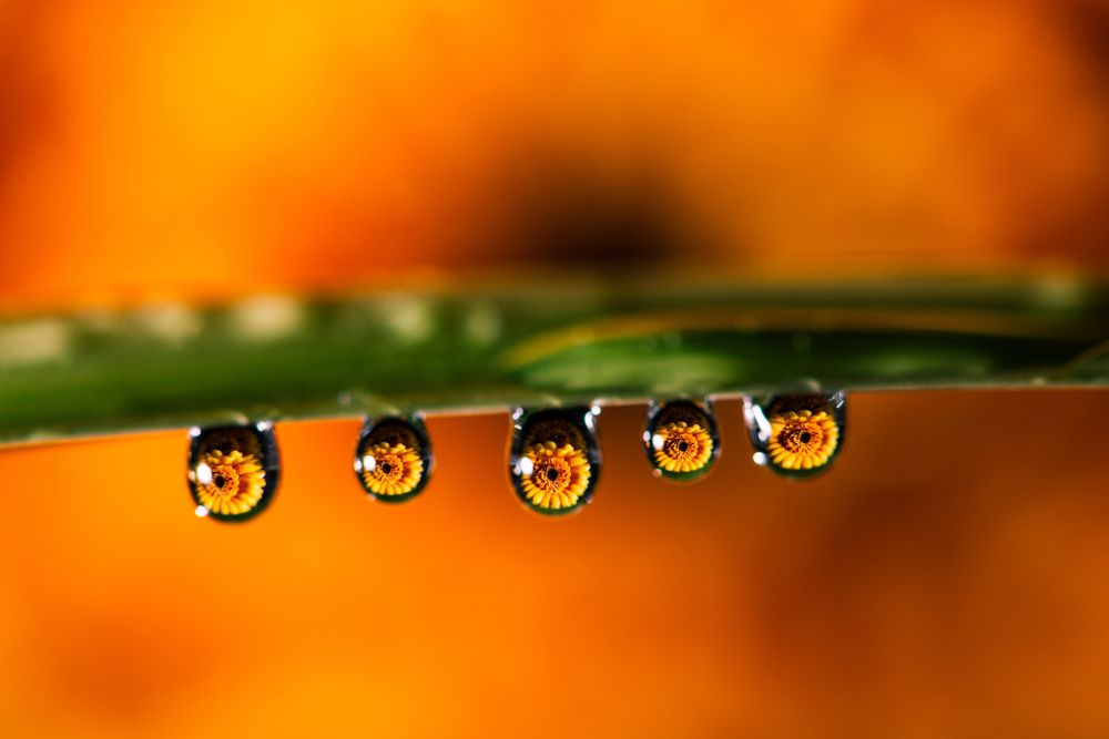 Photograph by Алексей Карпинчик