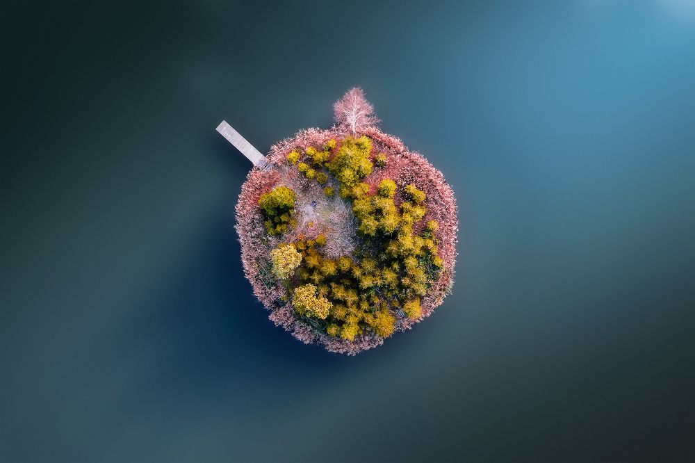 Photograph by Jakub Perlikowski