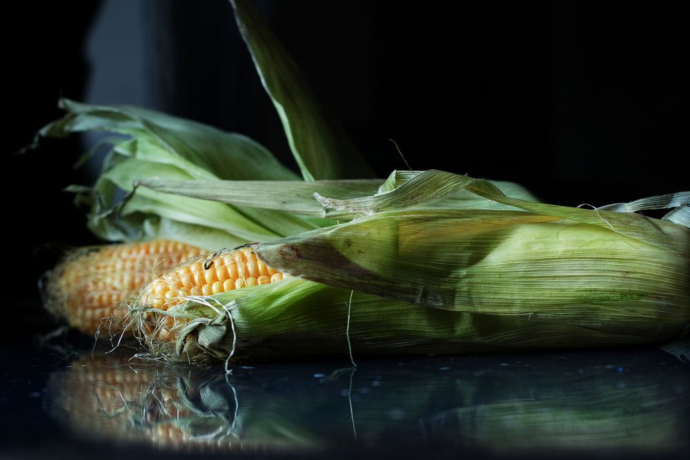 Photograph by Надежда Ржевская