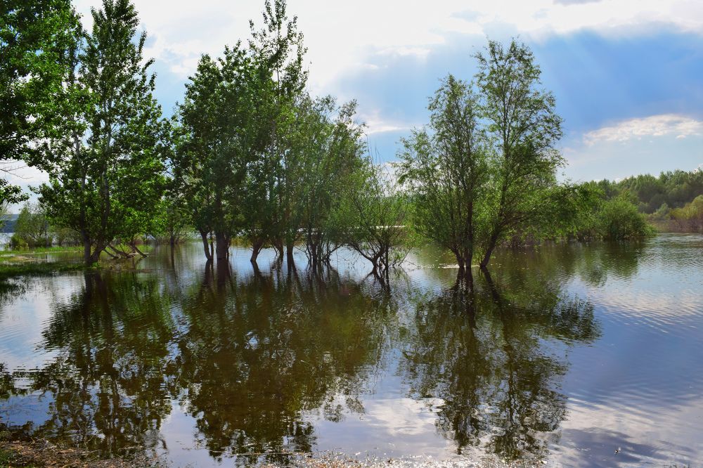 Photograph by Татьяна Дорожко