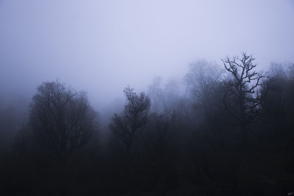 Photograph by reza jafari asl