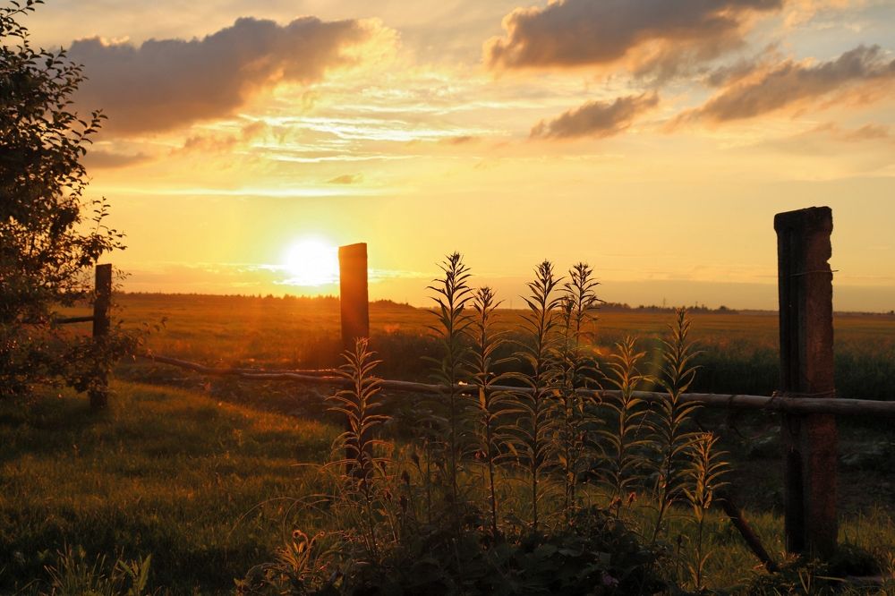 Photograph by Алексейчик Дмитрий