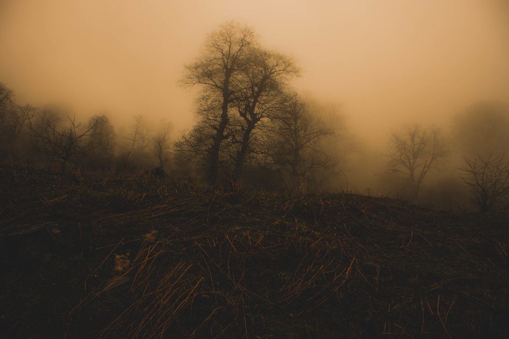 Photograph by reza jafari asl