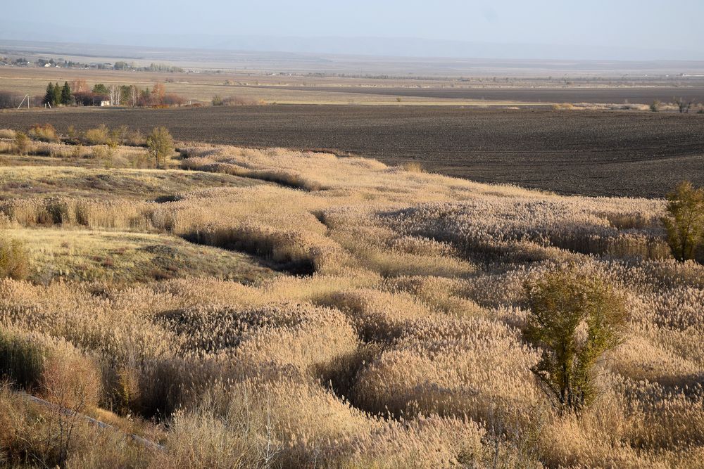 Photograph by Татьяна Дорожко