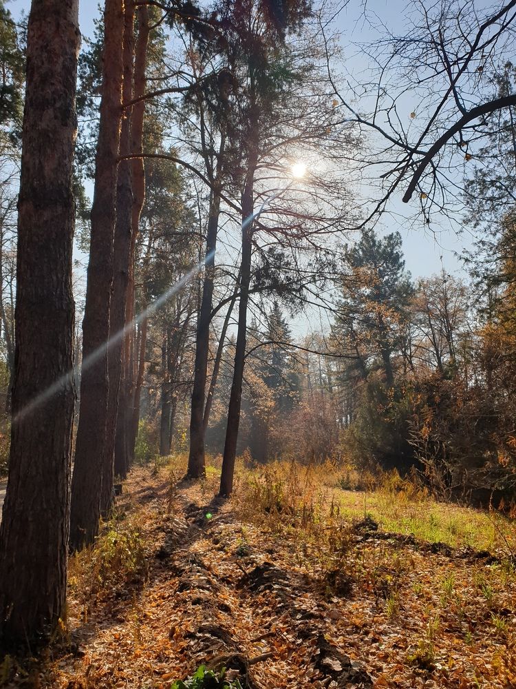 Photograph by Гайша Калиева