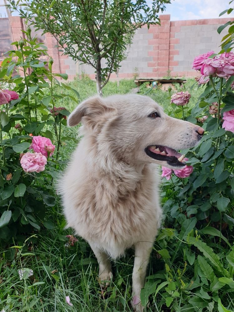 Photograph by Гайша Калиева