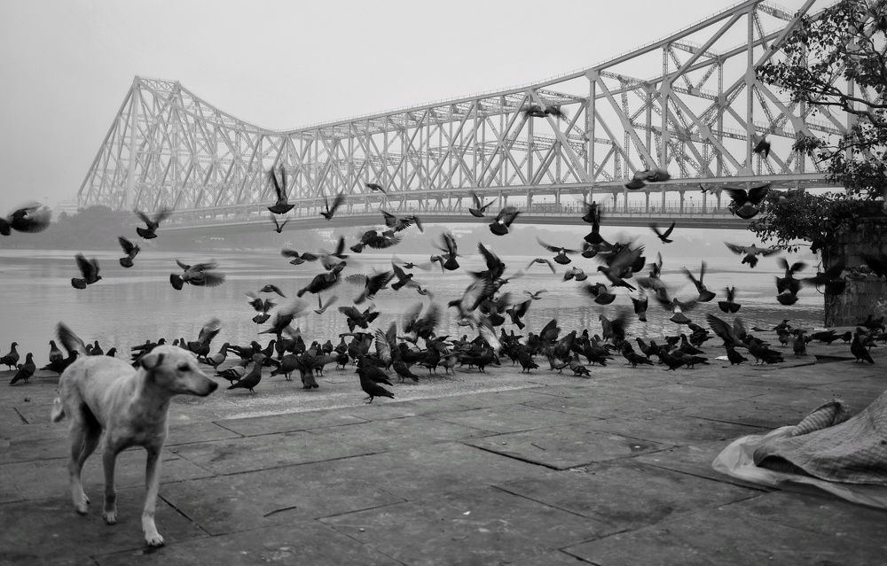 Фотография автора Sayantan Chakraborty