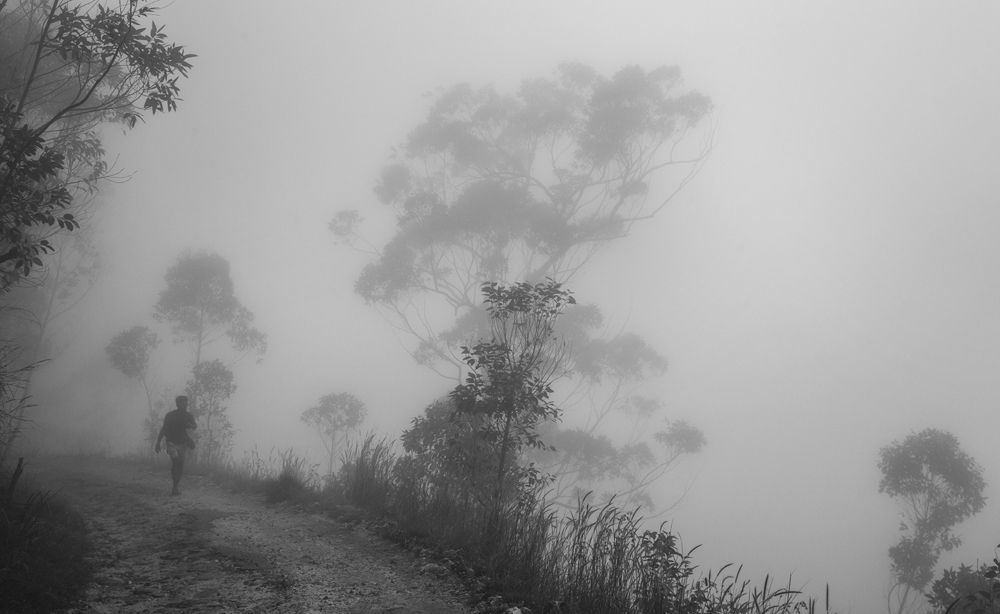 Фотография автора Sasindu Pramuditha