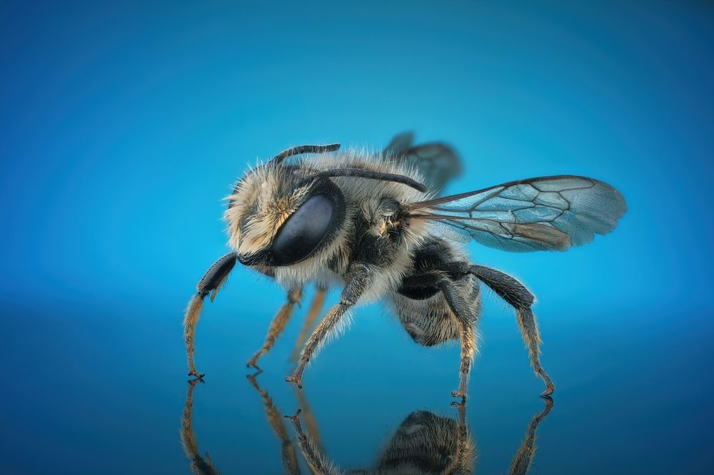 Photograph by Антон Орленко