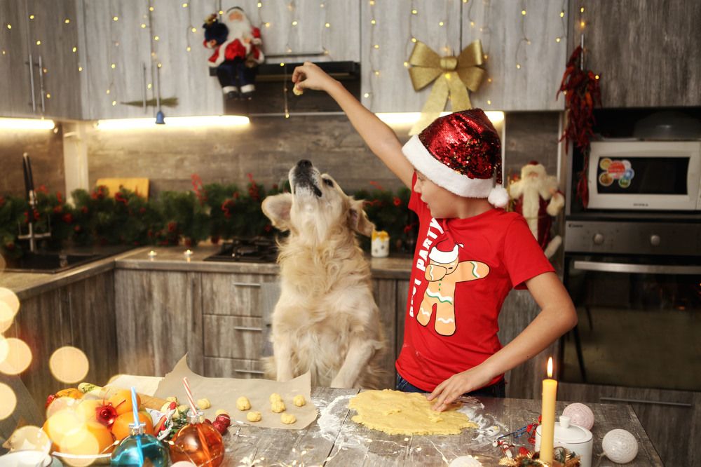 Photograph by Попова Светлана