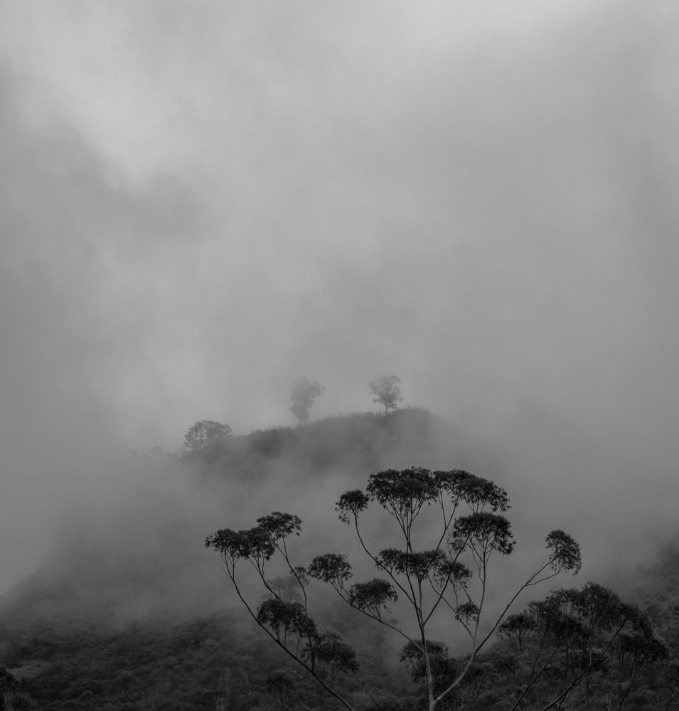 Фотография автора Sasindu Pramuditha