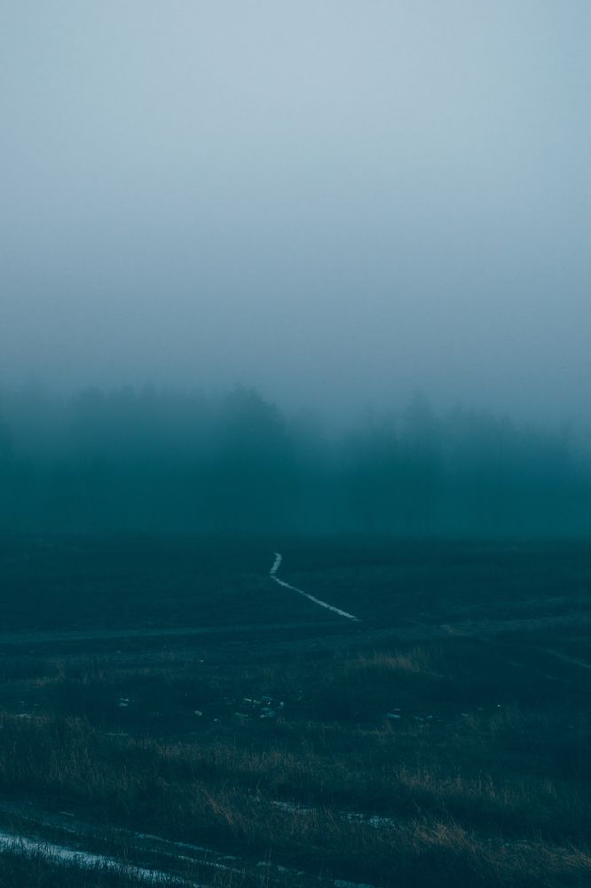 Photograph by Ольга Савина