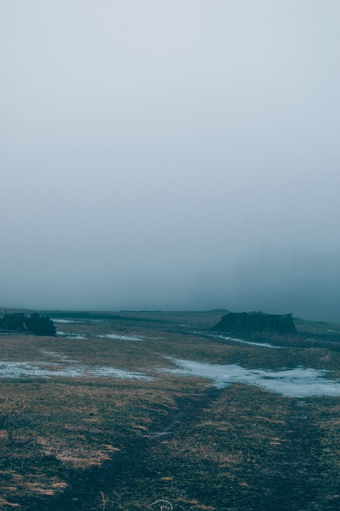 Photograph by Ольга Савина