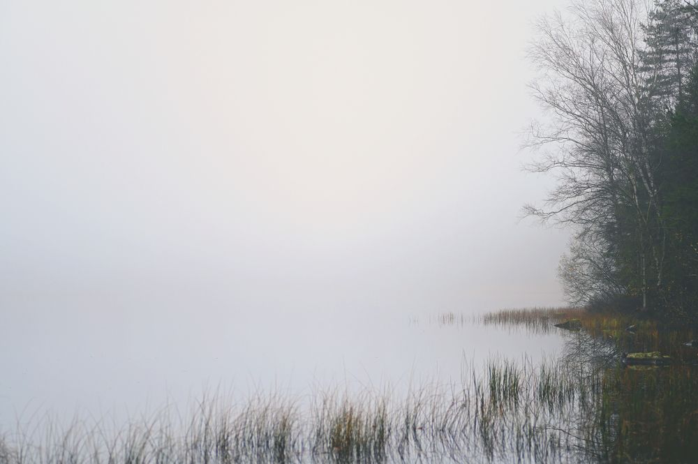 Photograph by Linda Persson