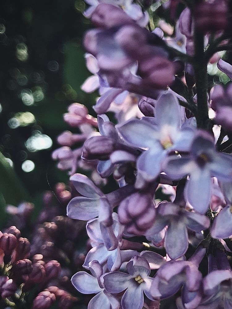 Photograph by Valentina Jegorova