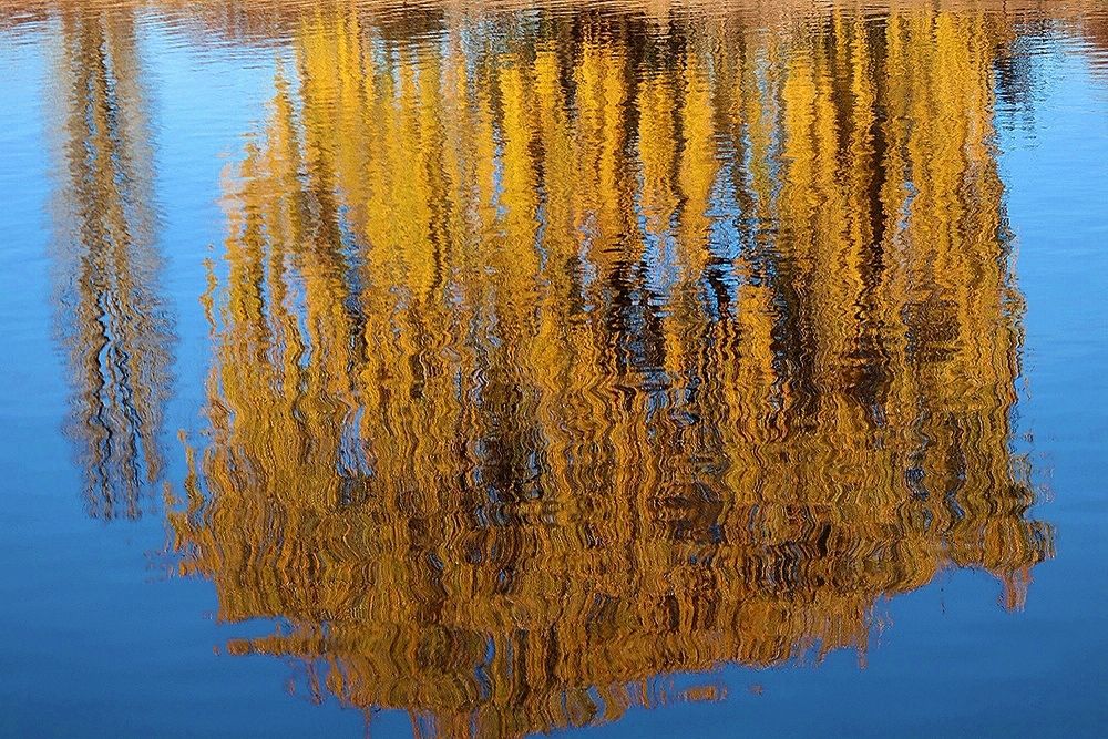 Photograph by Игорь Филипенко