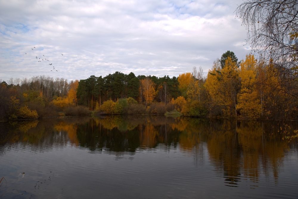 Фотография автора Сергей Чесноков