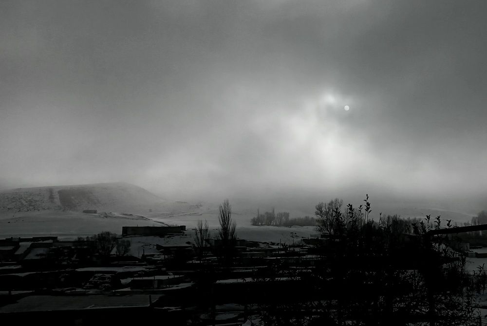 Photograph by Roghayeh Dannandeh