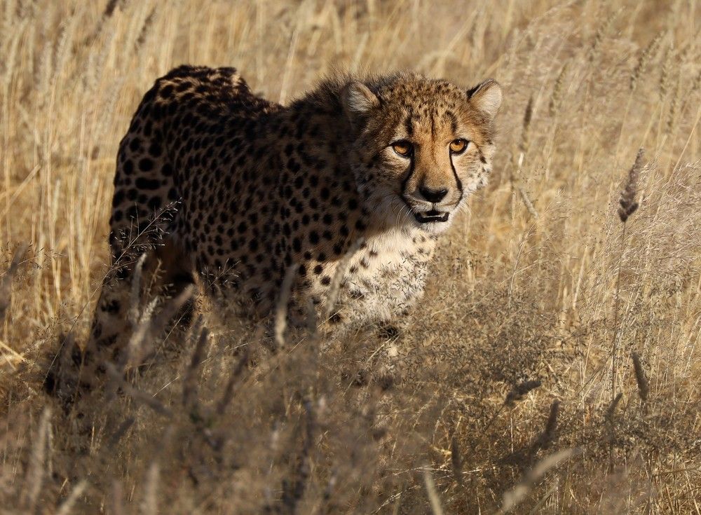 Photograph by Диана Жагрина