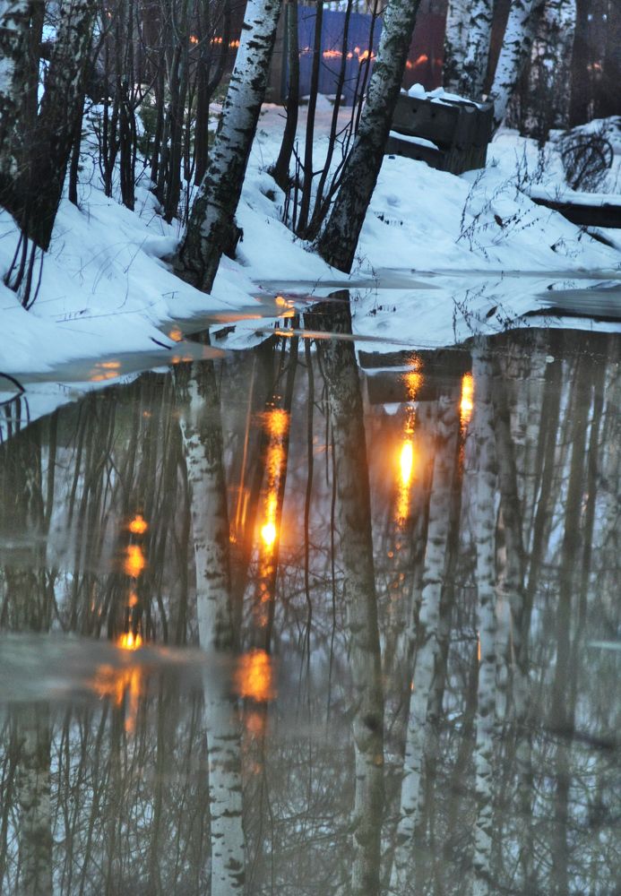 Фотография автора Настя