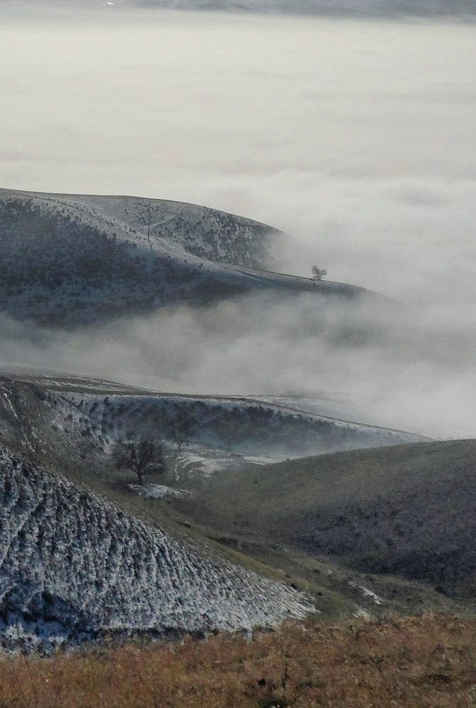 Photograph by Орынбек Асилбаев