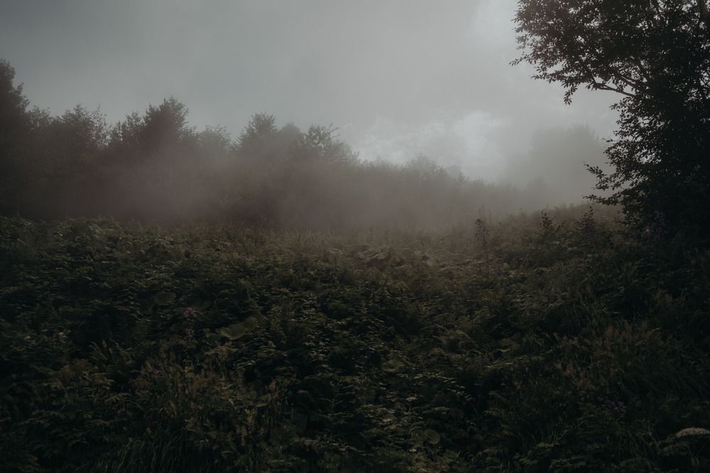 Photograph by Яна Сметана