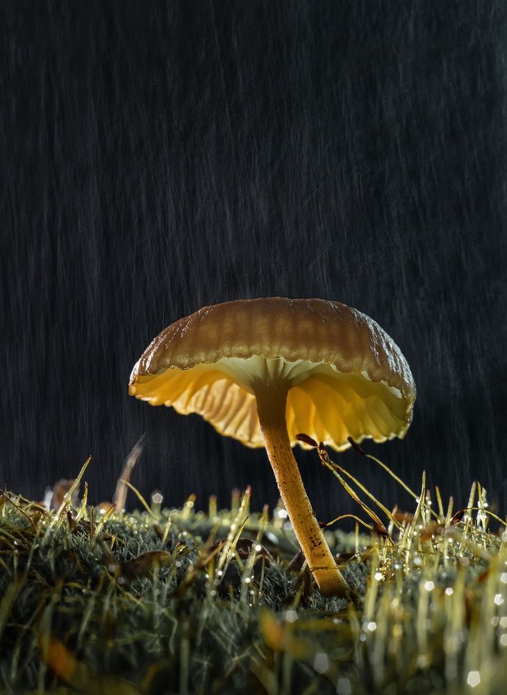 Фотография автора Валентин Черновол