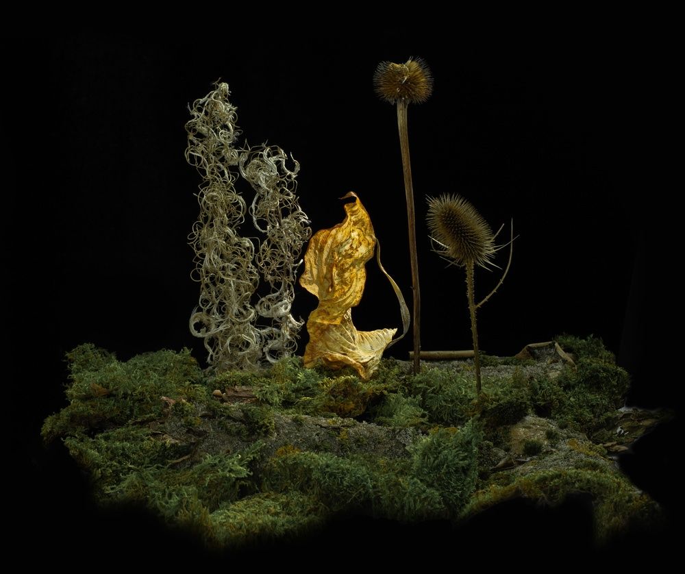 Фотография автора Валентин Черновол