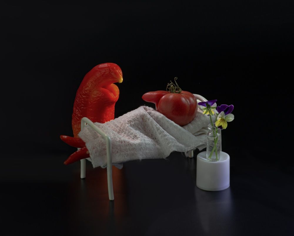 Фотография автора Валентин Черновол