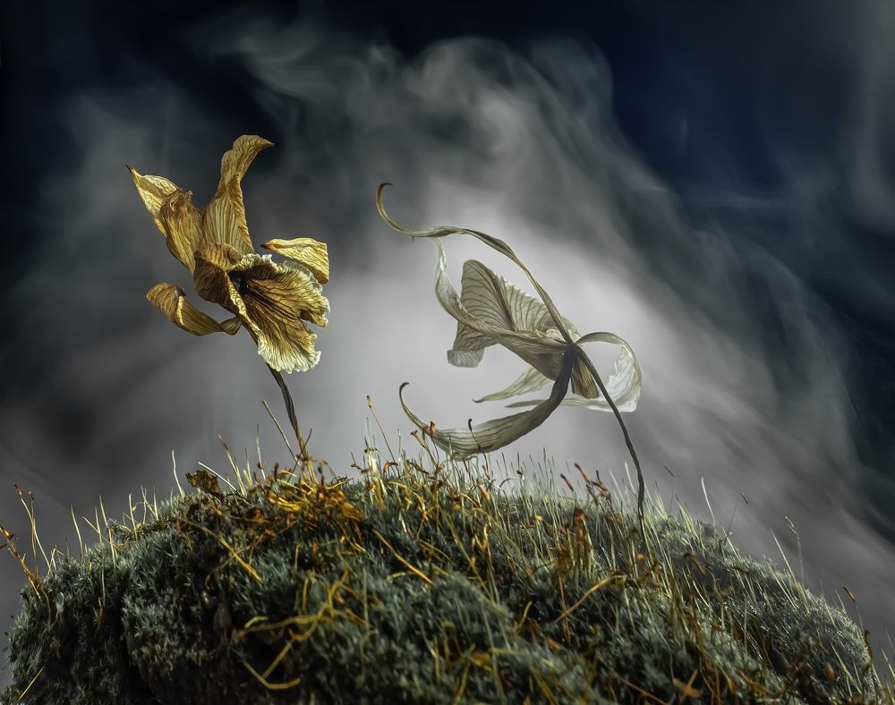 Фотография автора Валентин Черновол