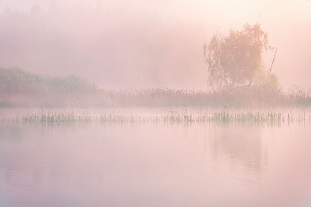 Photograph by Игорь Зайцев