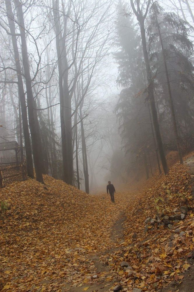 Photograph by Eylem Barış