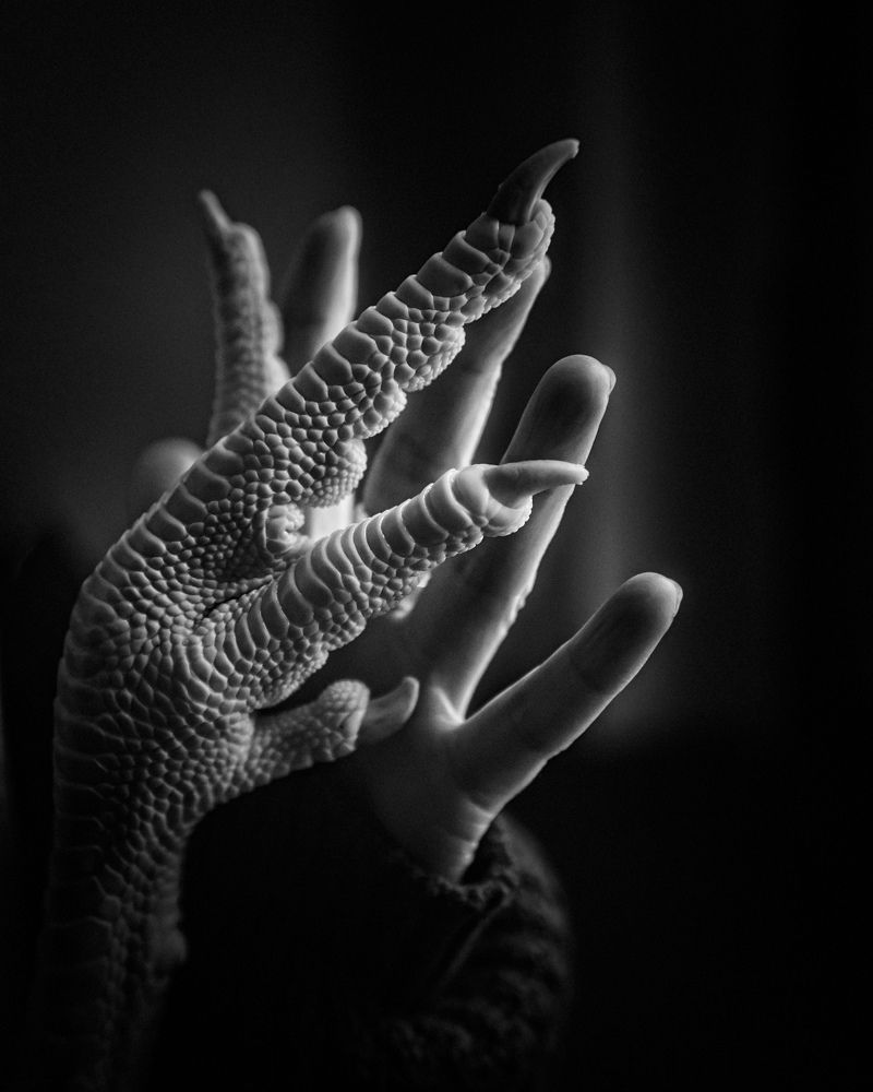 Photograph by Надежда Буаллаг