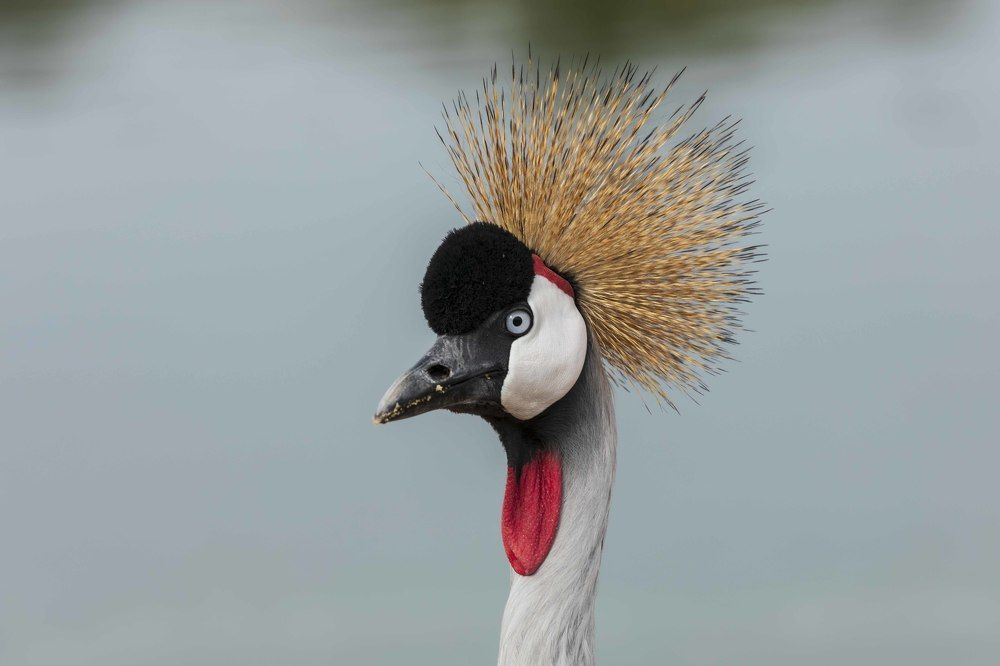 Photograph by klara Neikov