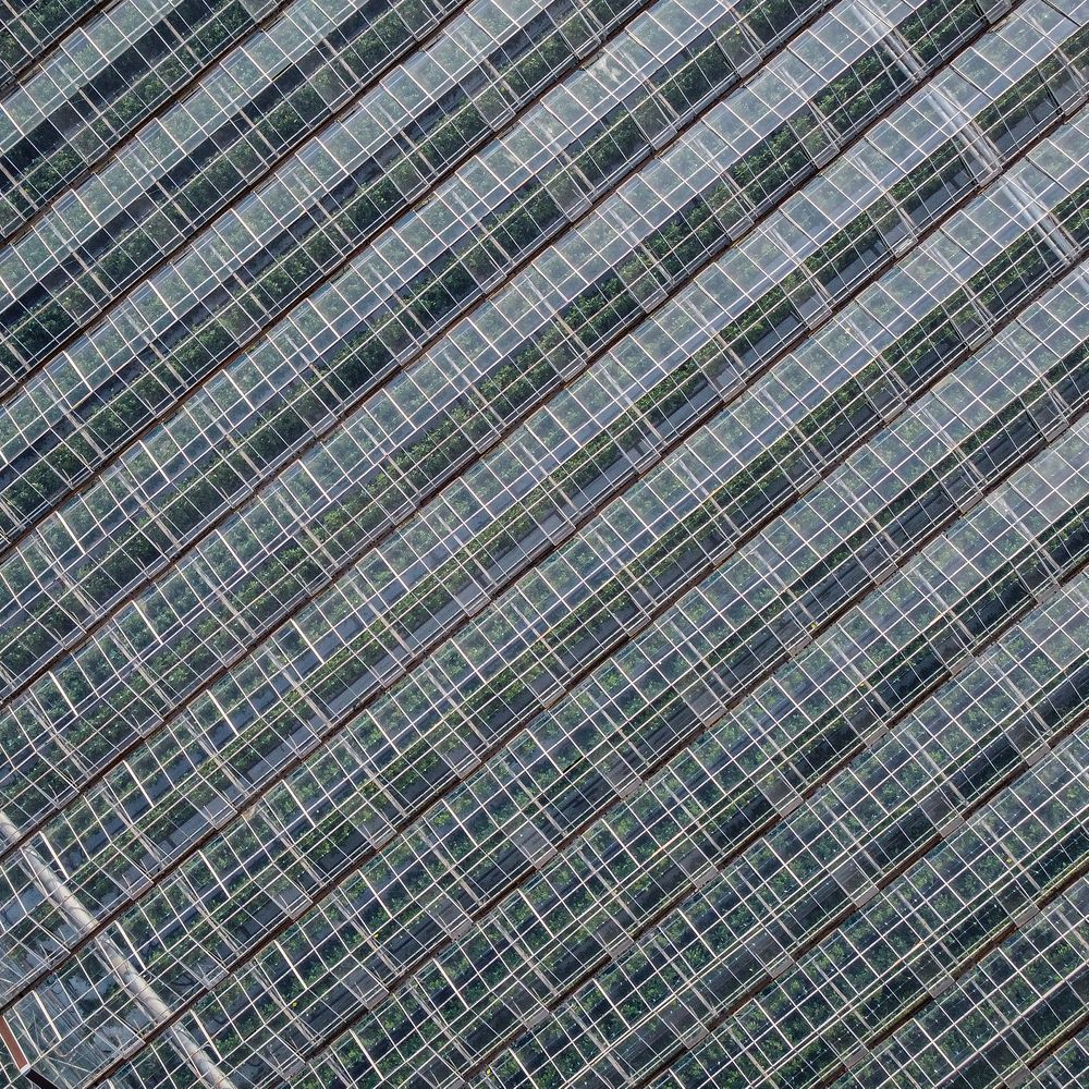 Photograph by Daniil Kurmachev