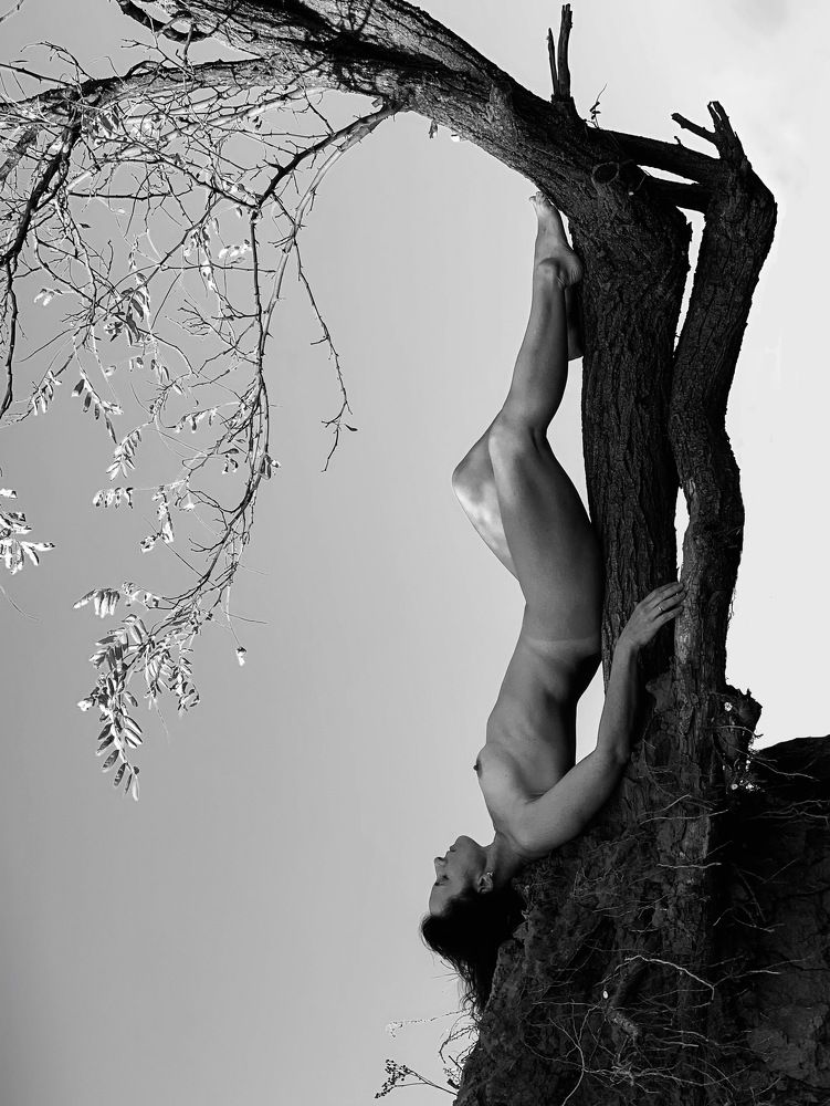 Photograph by Анна Адаменко