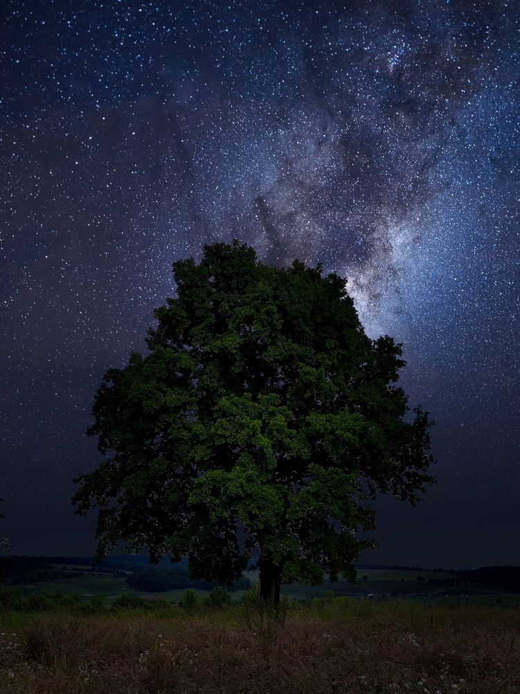 Photograph by Инна Макарчук