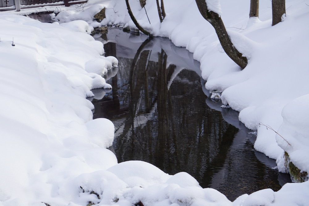 Photograph by Алфия Бугакова