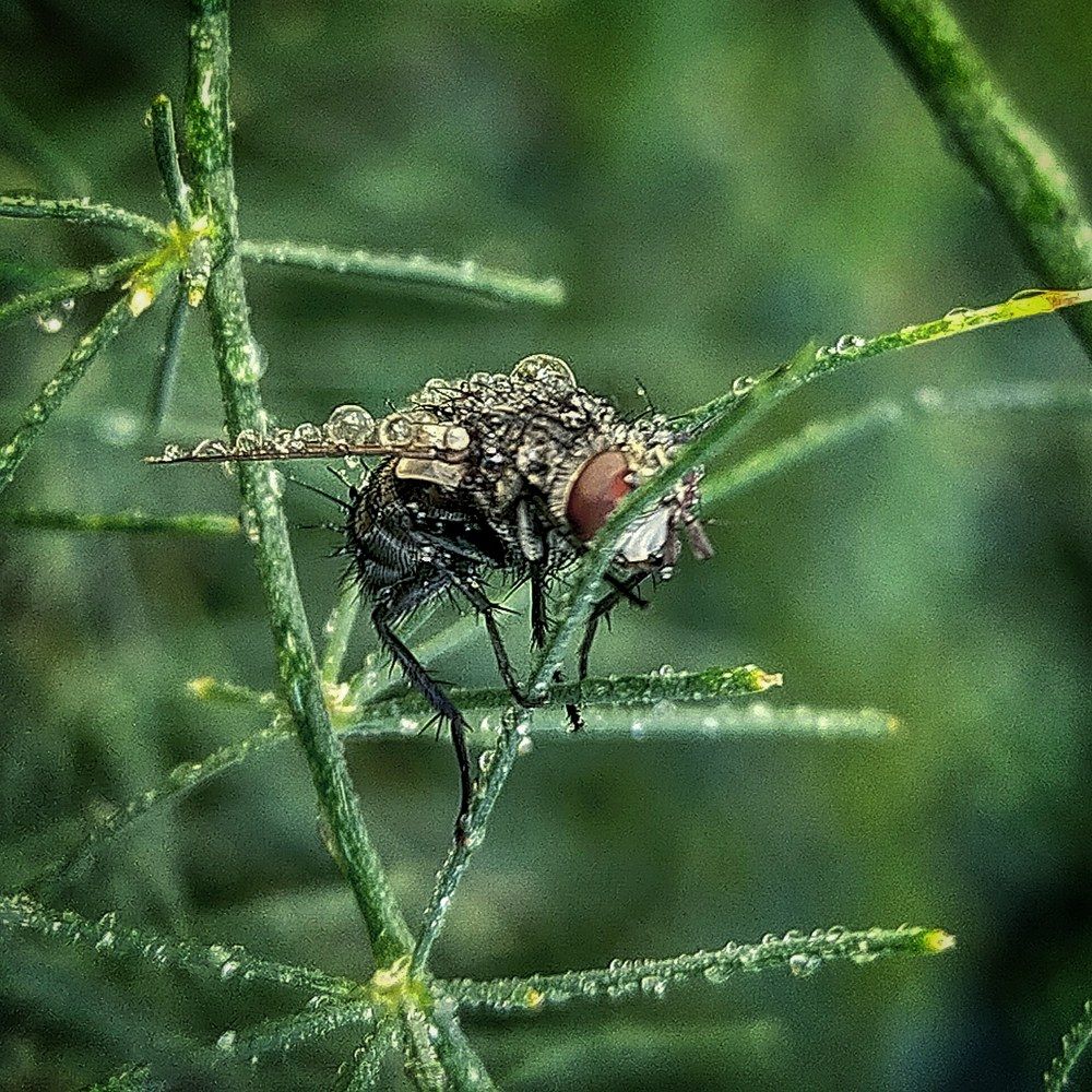 Photograph by Ольга Мартьянова