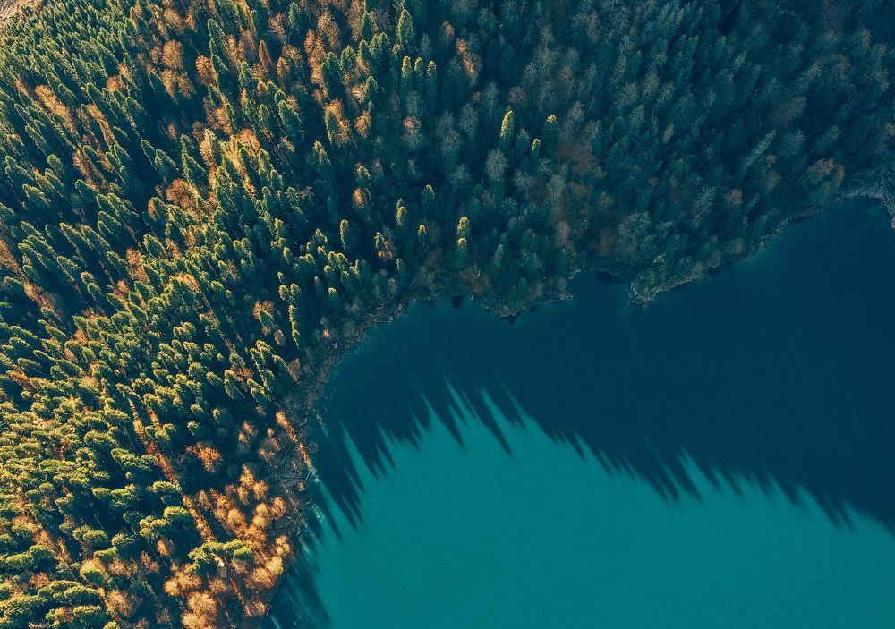 Photograph by Екатерина Коннова