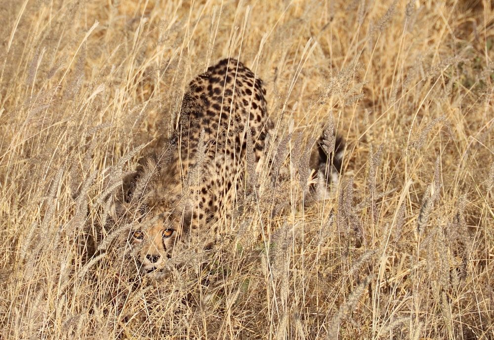 Photograph by Диана Жагрина