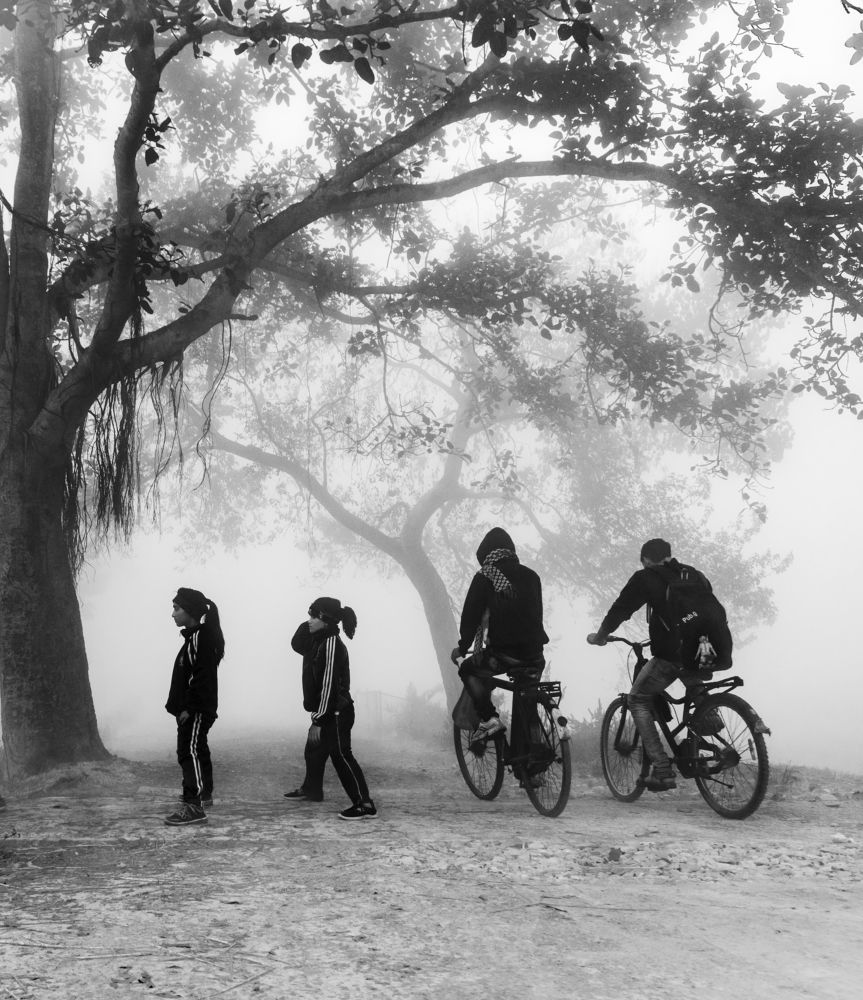 A beautiful foggy morning