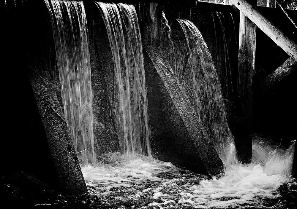 Фотография автора Андрей Янковский