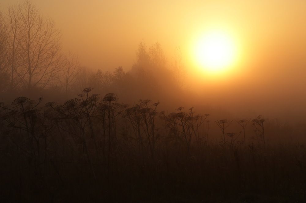 Photograph by 